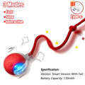 Pet Interactive Ball Toy