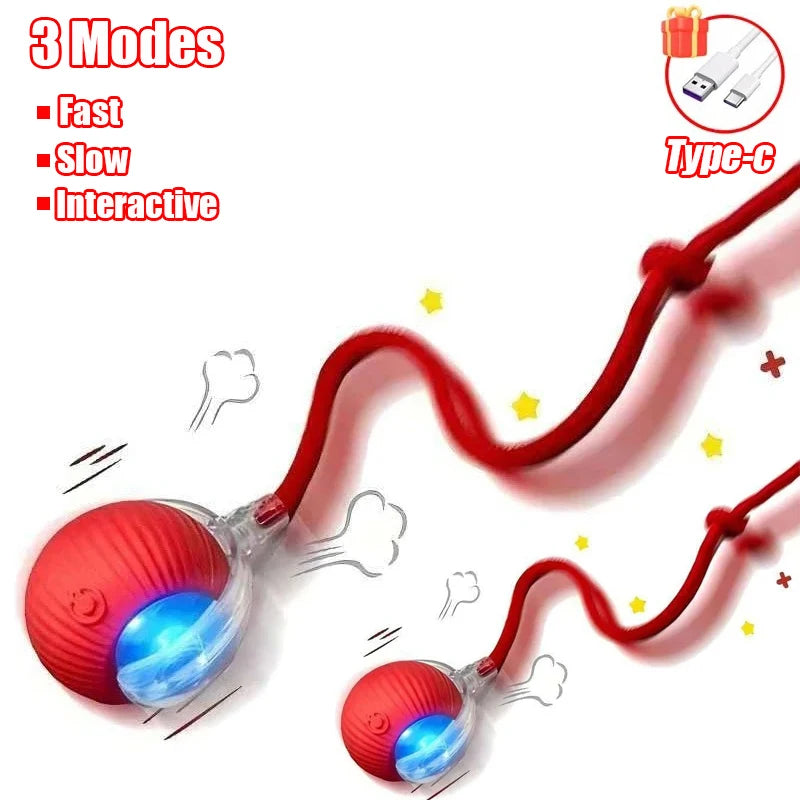 Pet Interactive Ball Toy