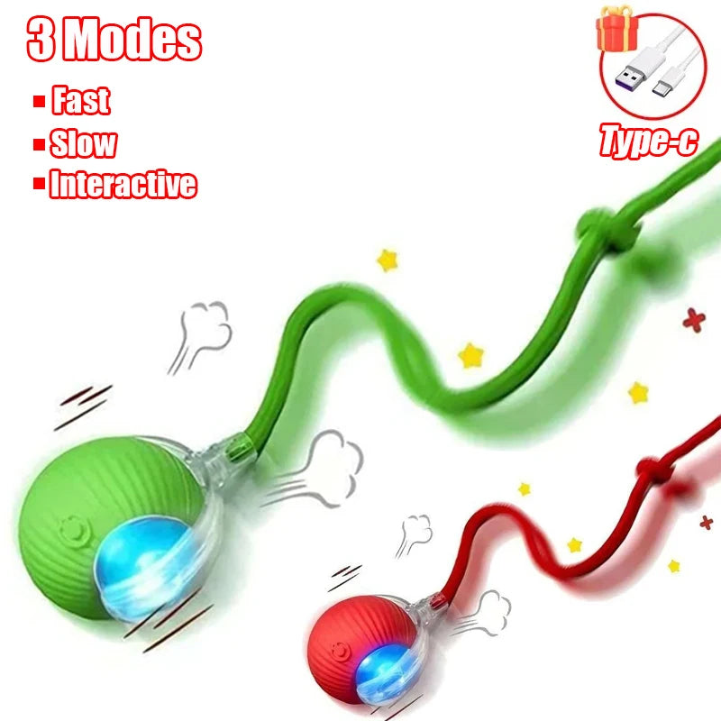Pet Interactive Ball Toy