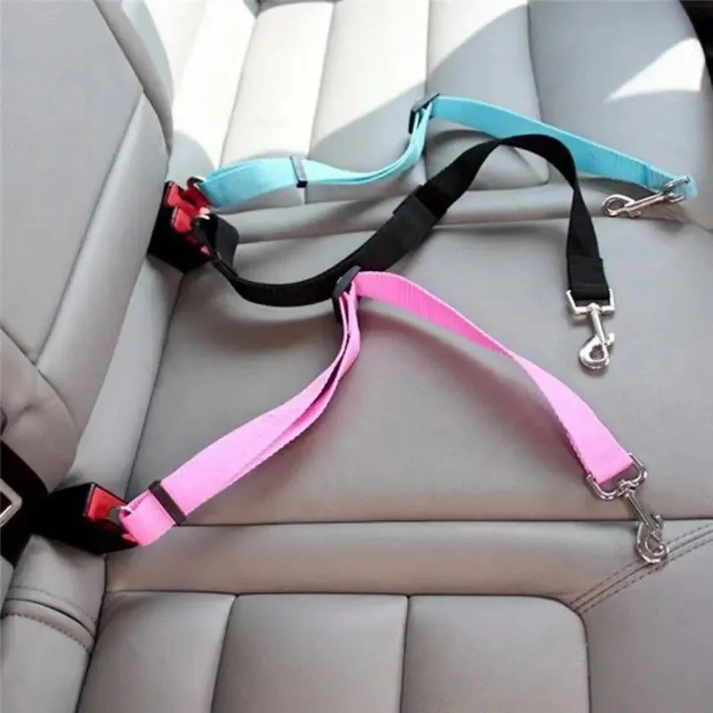 Pets seatbelt