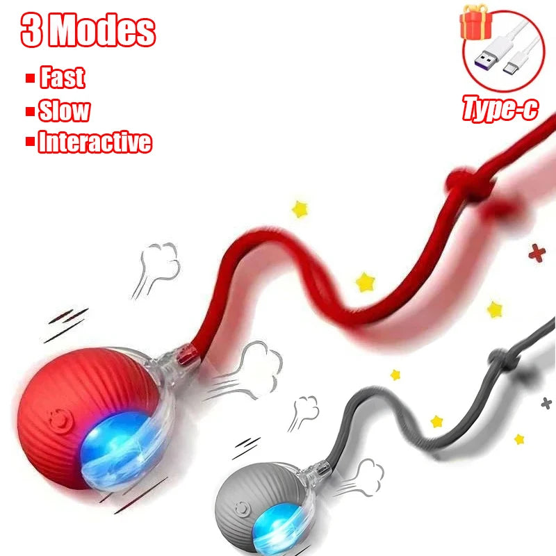 Pet Interactive Ball Toy