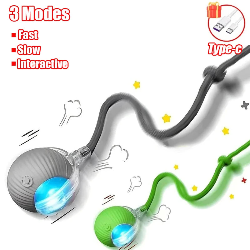 Pet Interactive Ball Toy
