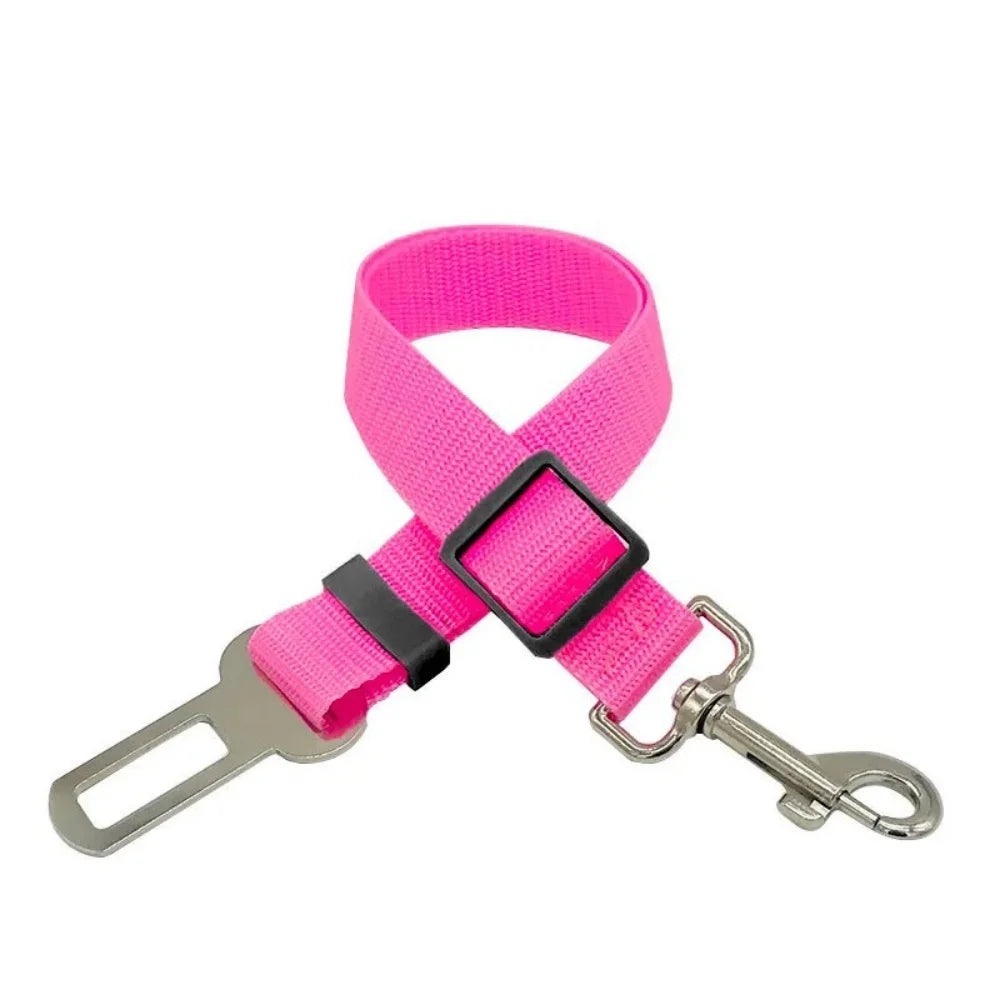 Pets seatbelt