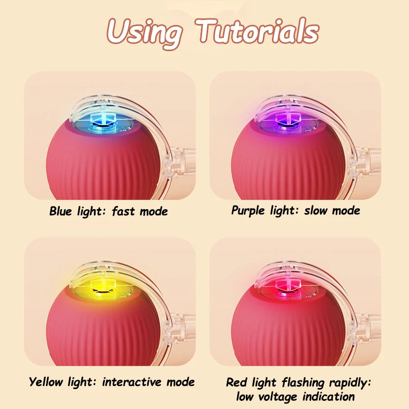 Pet Interactive Ball Toy
