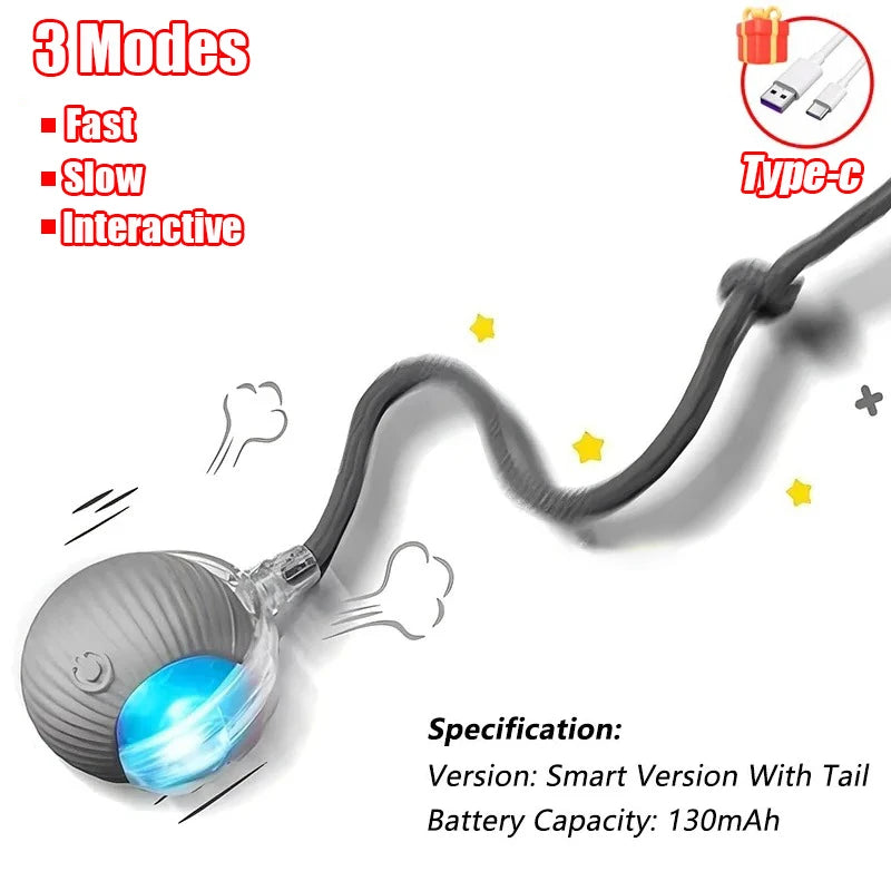 Pet Interactive Ball Toy