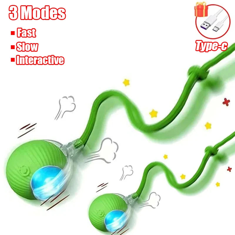 Pet Interactive Ball Toy