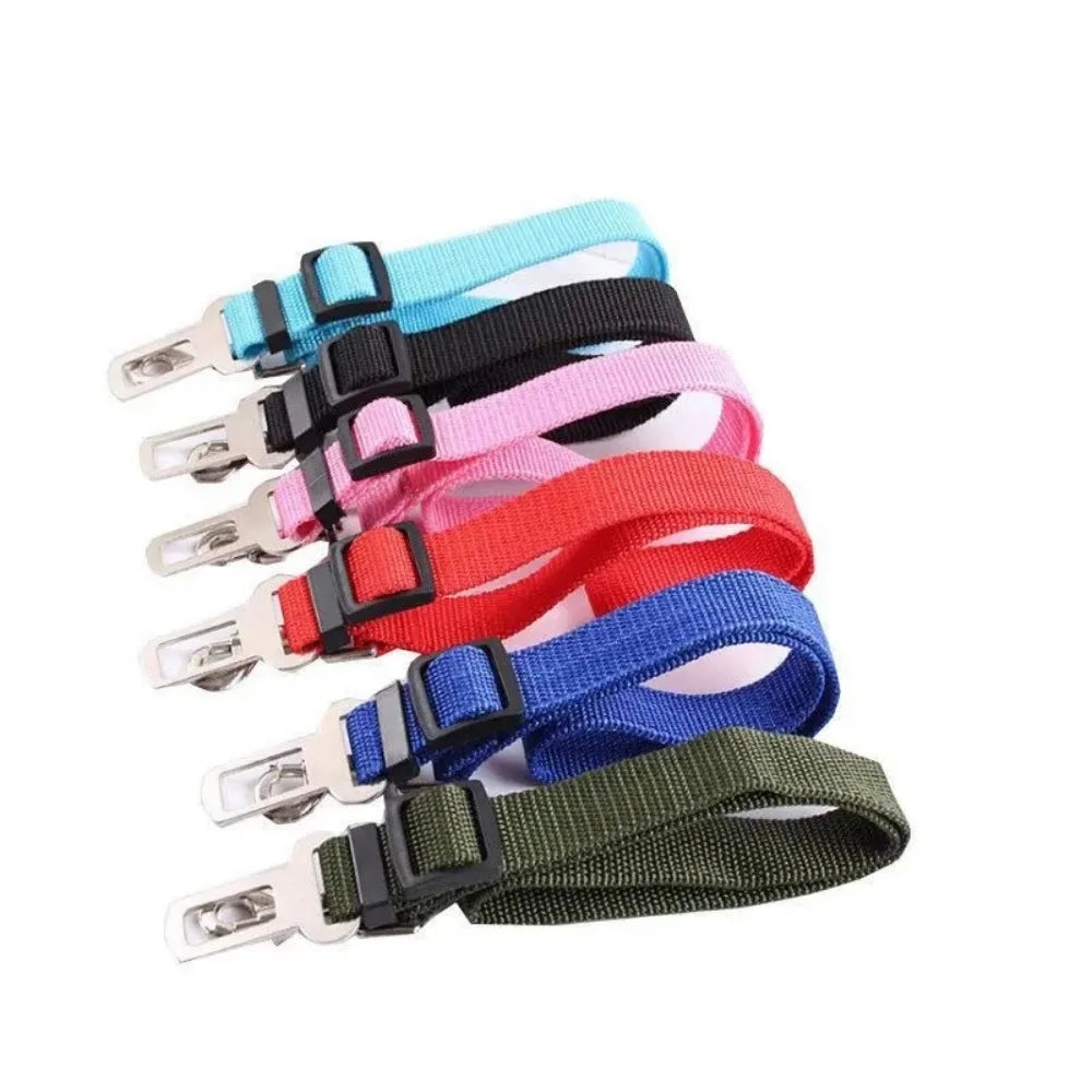 Pets seatbelt