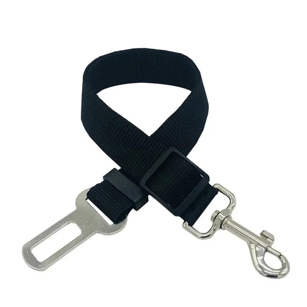 Pets seatbelt