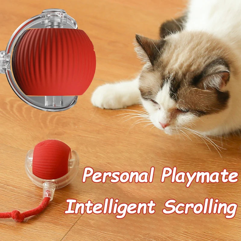 Pet Interactive Ball Toy