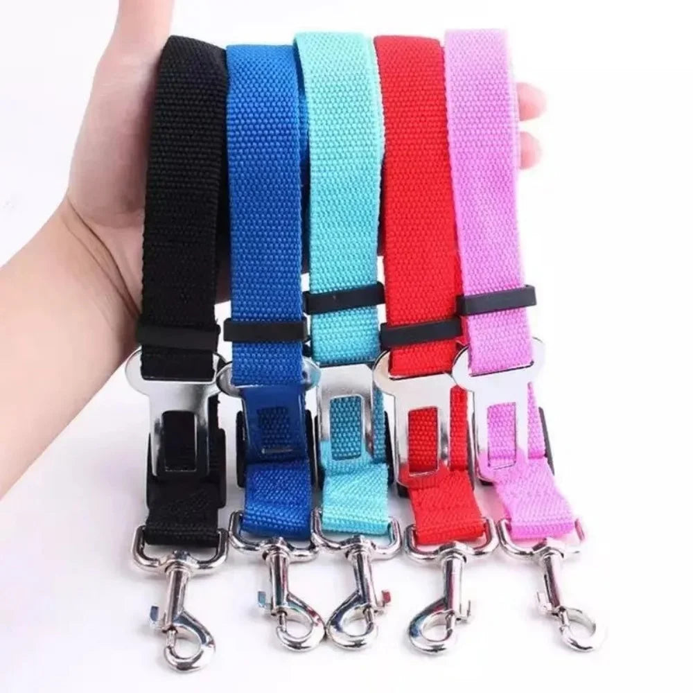 Pets seatbelt