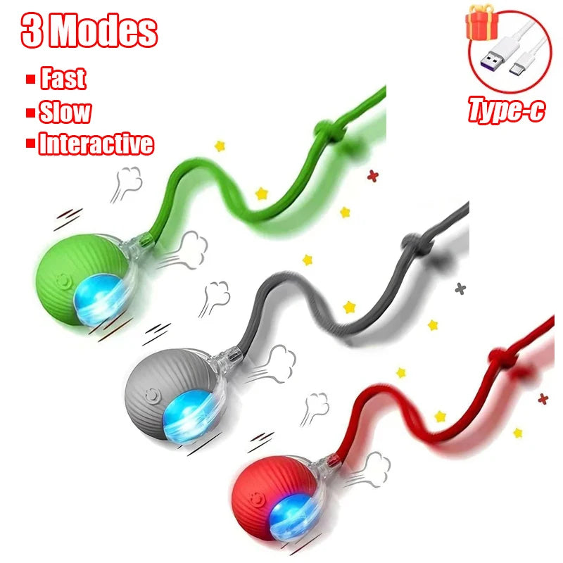 Pet Interactive Ball Toy