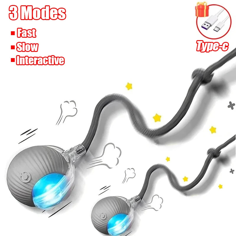 Pet Interactive Ball Toy