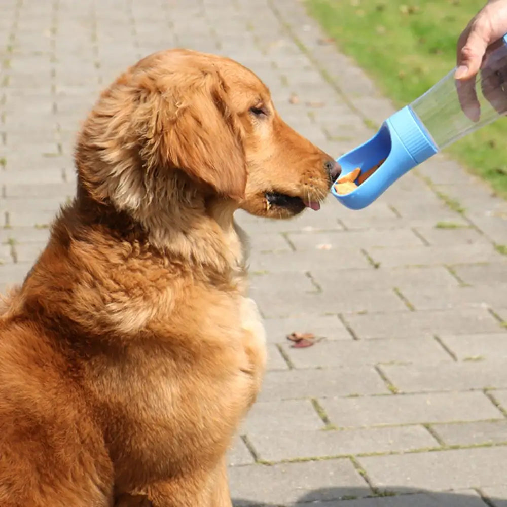 Portable pets Water Bottle