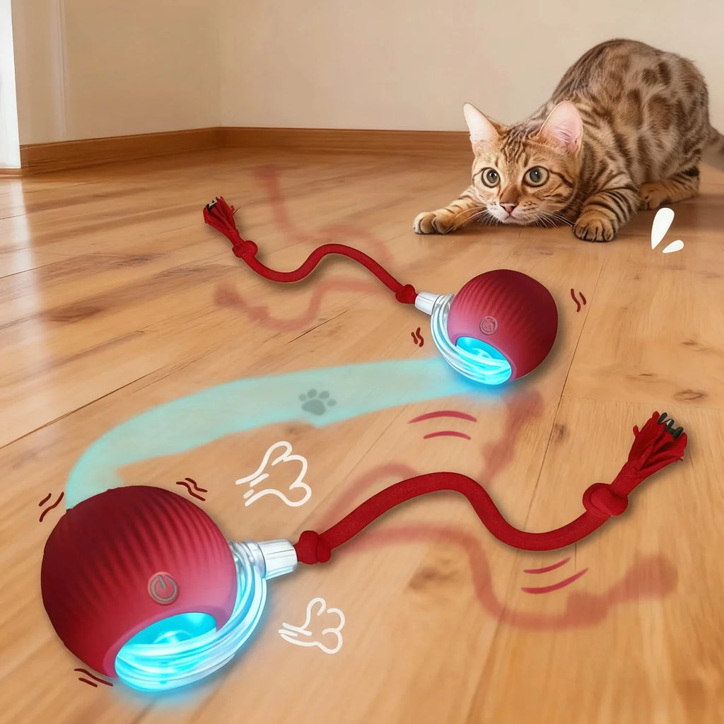Pet Interactive Ball Toy